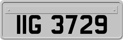 IIG3729