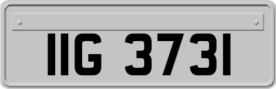 IIG3731