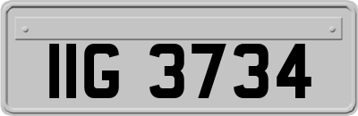 IIG3734