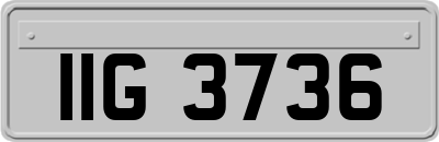IIG3736