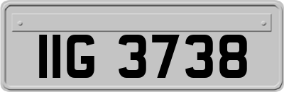 IIG3738