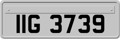 IIG3739