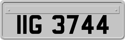 IIG3744