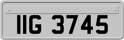 IIG3745