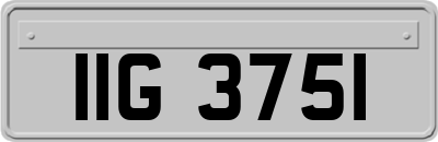 IIG3751