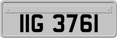 IIG3761