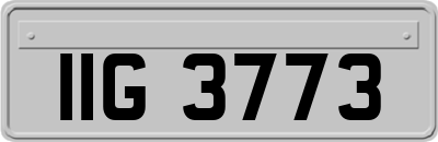 IIG3773