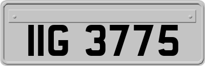 IIG3775