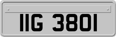 IIG3801