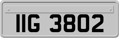 IIG3802