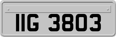 IIG3803
