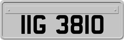 IIG3810