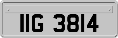 IIG3814