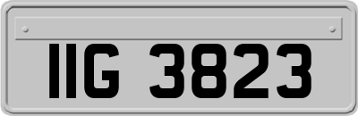 IIG3823