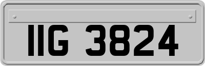 IIG3824