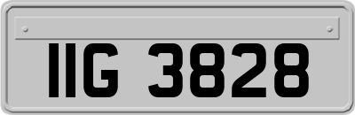 IIG3828