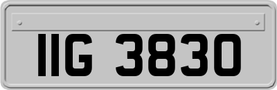 IIG3830
