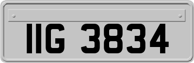 IIG3834