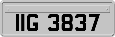 IIG3837