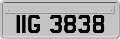 IIG3838