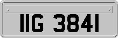IIG3841