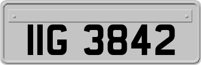 IIG3842