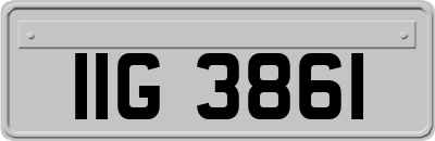 IIG3861