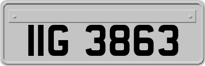 IIG3863