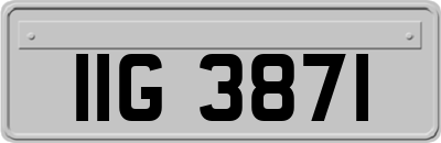 IIG3871
