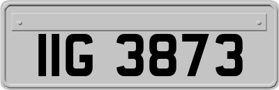 IIG3873