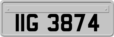 IIG3874