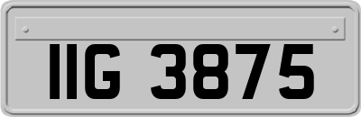IIG3875