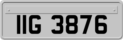 IIG3876