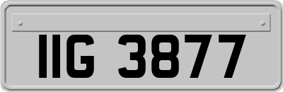 IIG3877