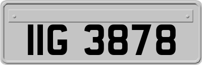 IIG3878