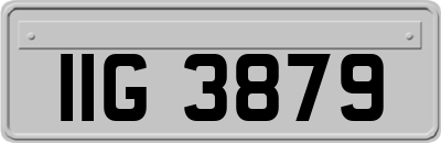 IIG3879