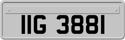 IIG3881