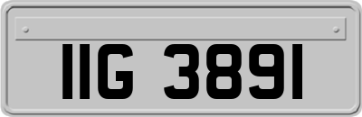 IIG3891