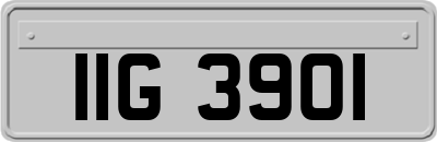 IIG3901