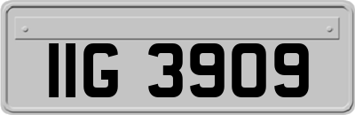 IIG3909