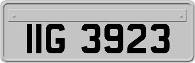 IIG3923