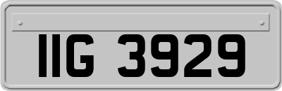 IIG3929
