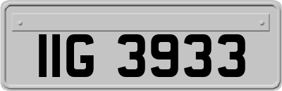 IIG3933