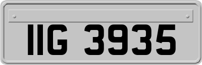IIG3935