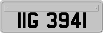 IIG3941