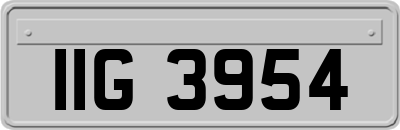 IIG3954