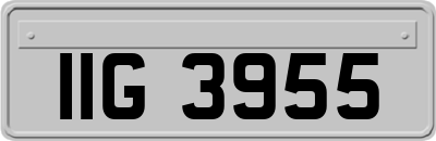IIG3955