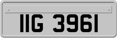 IIG3961