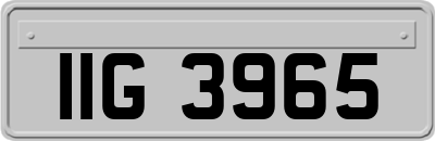 IIG3965