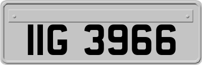 IIG3966
